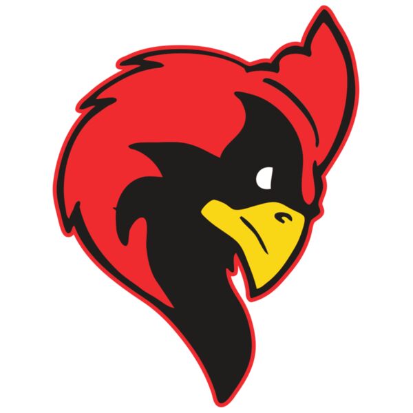 AR CARDINAL 24 RC Thumbnail