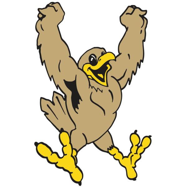 AR EAGLE 21 RC Thumbnail