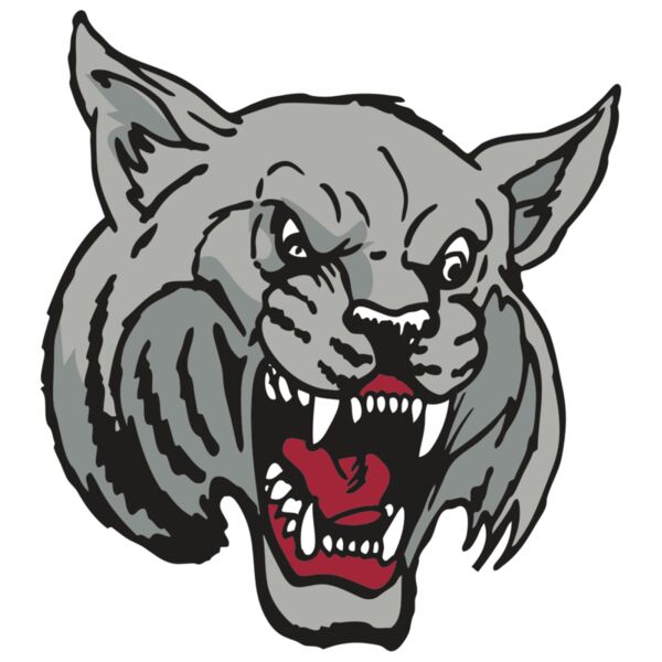 AR WILDCAT 42 RC Thumbnail