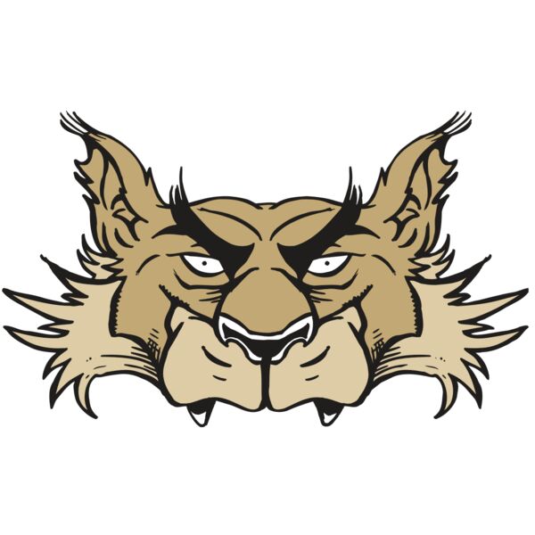 AR5 Wolf 28 RQC Thumbnail